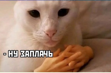 Признаки, как отличить нейрослоп