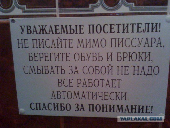 Что мы видим вокруг себя