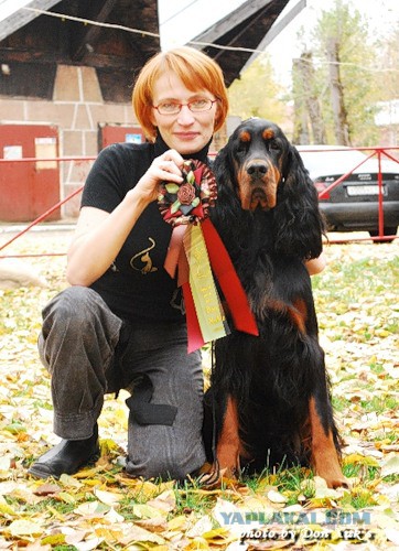 Собакочетверг на 02.01.2014