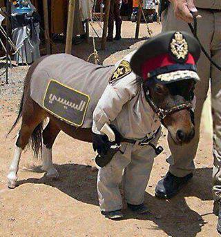 Лента анекдотов на вторник 07.01.2014