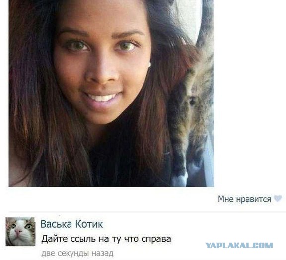 Очередная подборка смешных высказываний