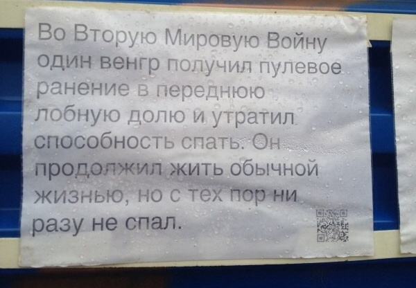 Интересные факты для тех, у кого нет инета
