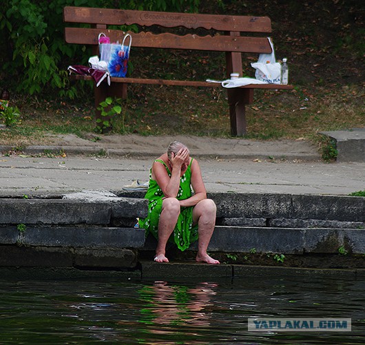 Добряки, плюсующие всех подряд