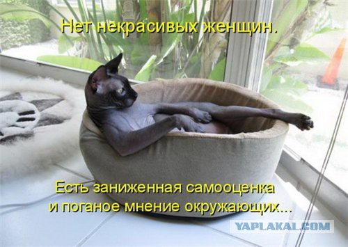Чёрт, чёрт, чёрт!