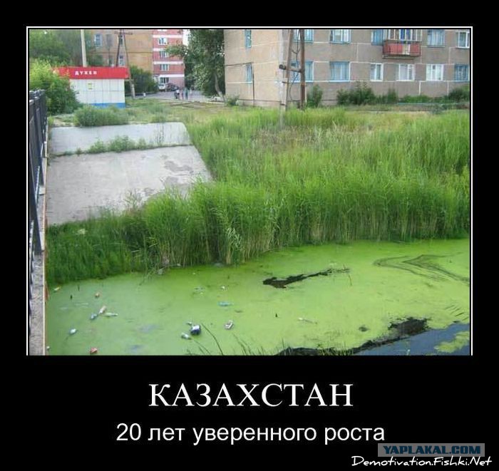Приколы на казахском картинки, открытки