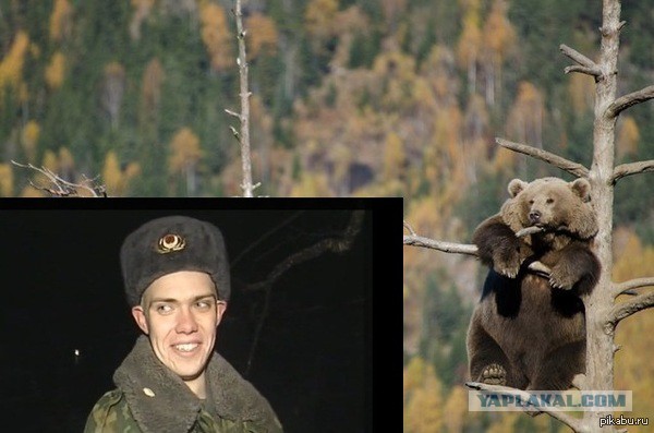 Фотожабы про спасение Барсика