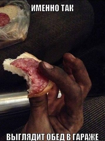 Веселые картинки