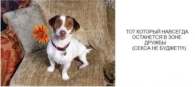 Типы друзей, которые есть у каждого из нас.