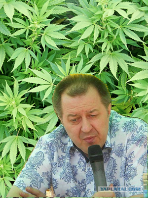 План украинского политолога