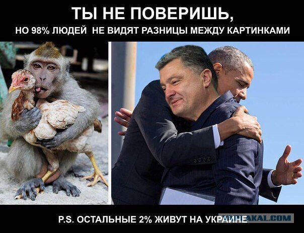 Веселые картинки