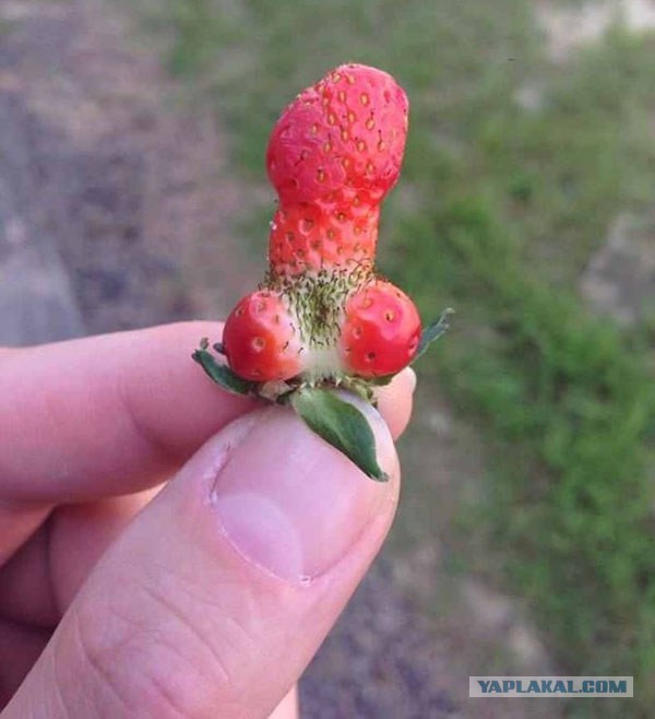 21 доказательство того, что Фрейд был прав