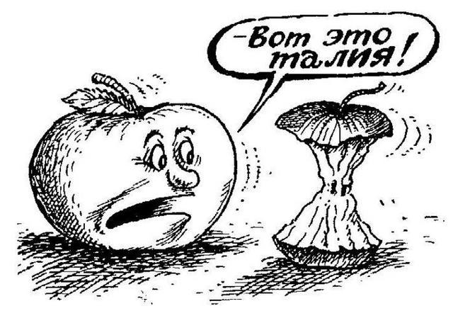 Алоэ арбуэ картинка