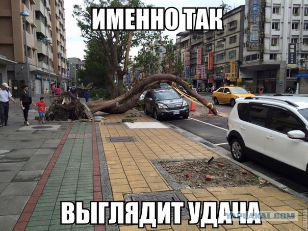 Забавные картинки из Сети