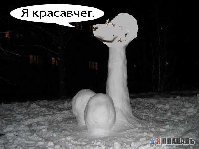 Превед медвед!
