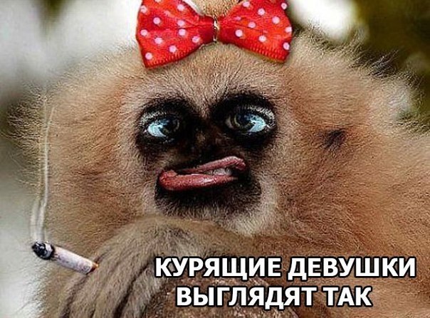 Отовсюду понемногу