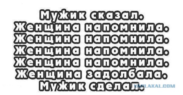 Подборка картинок из сети