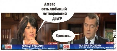 Картинки
