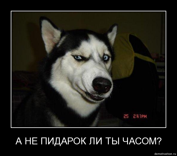 СтопХам обратная сторона