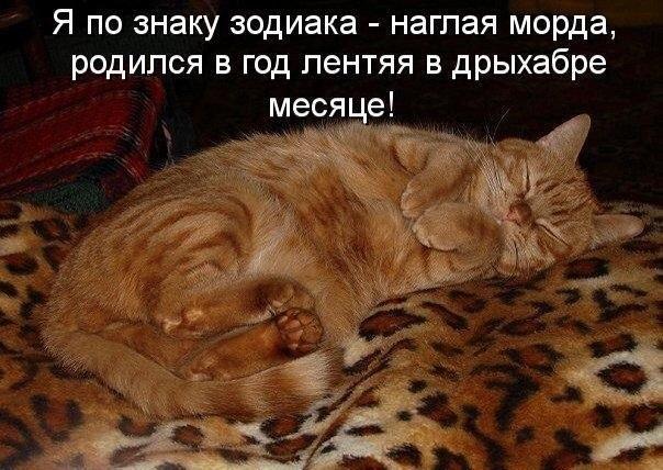 Мохнатые беспредельщики