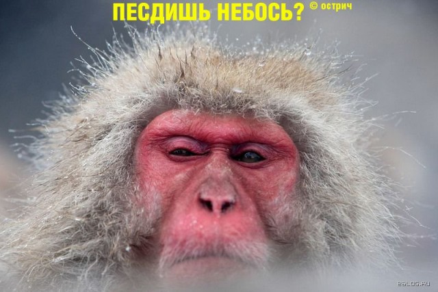 20 фото из жизни сильных и независимых мужчин