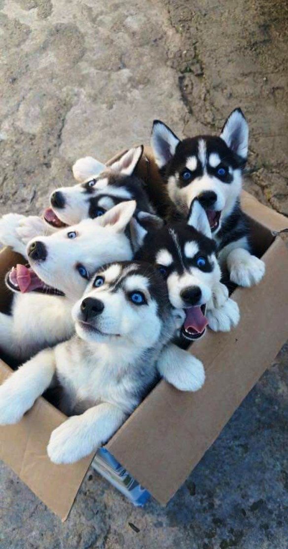 Подборка интересных и веселых картинок