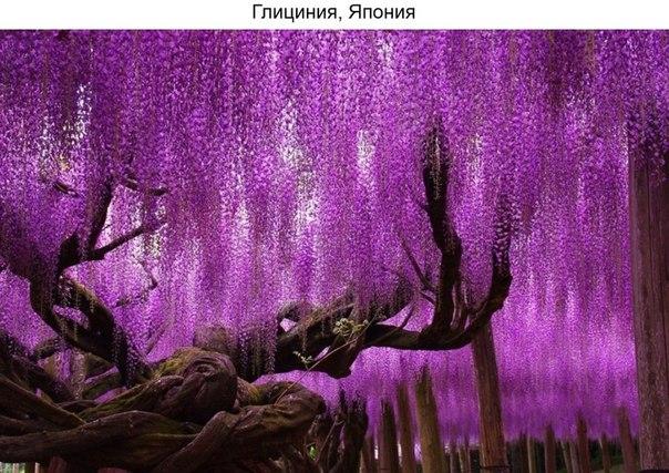 Разные фото. Прикольные и красивые