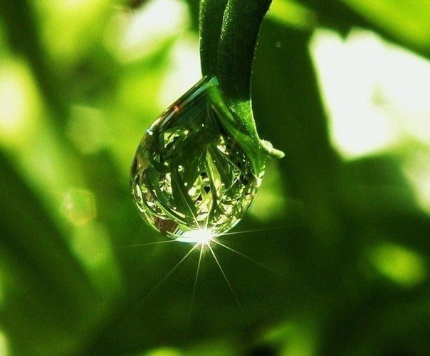 Картинки для отдыха глаз