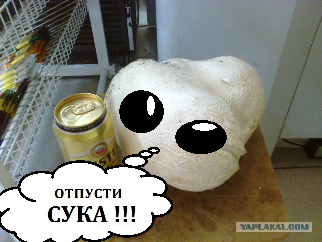 Пожарить с картошечкой, ммм - шик!