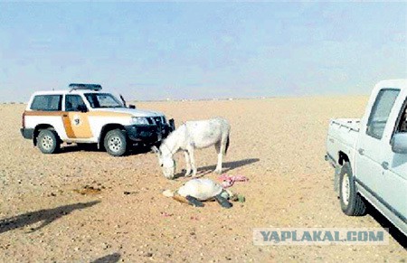 Красиво летят