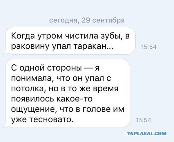 Смешные комментарии из социальных сетей 16.12.2016