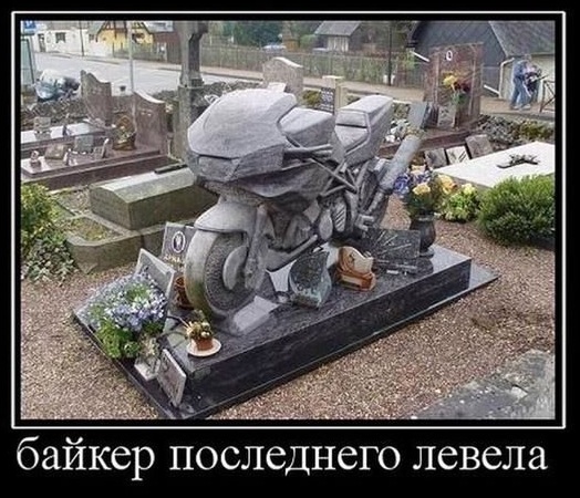 Картинки с сети