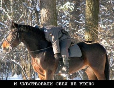 40  картинок  на пятницу...