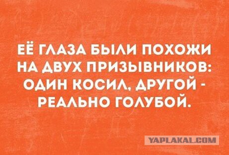Смешные комментарии из социальных сетей 14.04.2017