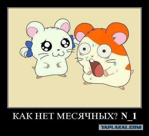 Вопрос для девочек