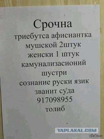Уровень грамотности просто зашкаливает