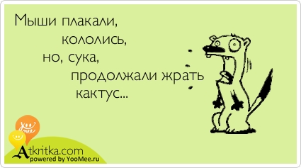 Смешные комментарии из социальных сетей 10.11.2017