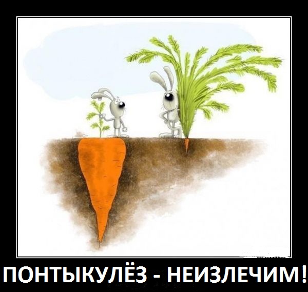 Россияне совсем с ума сошли. 6 млн смартфонов в кредит. Россияне гонятся за iPhone и красивой жизнью