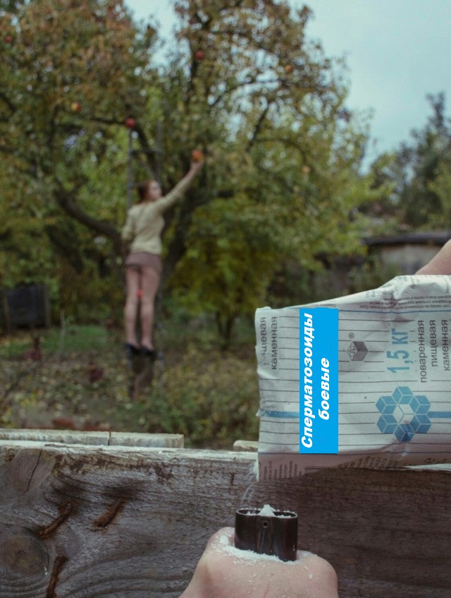 Картинок всяких разных
