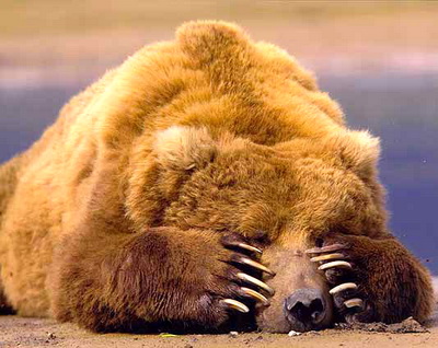 Кошмар любой содержанки