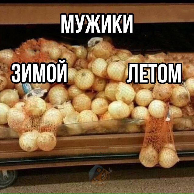 Немного картинок в эту среду