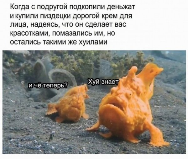 Немного картинок на вечер