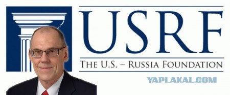 Кошачий патруль