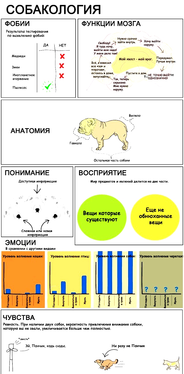 Мезальянс