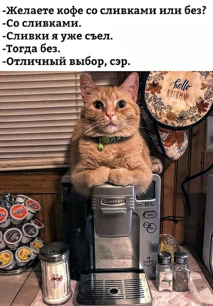 Картинки разные нужны, картинки всякие важны