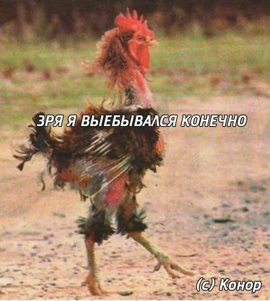 Бредзона 26.12.2019