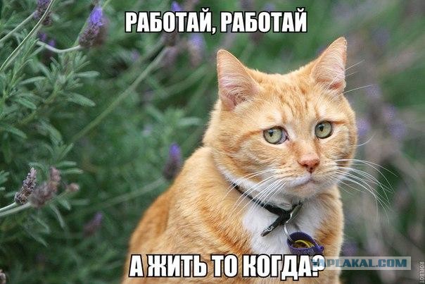 Этот взгляд