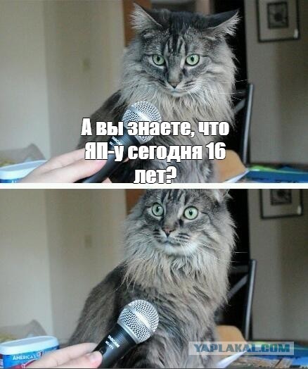 ⚡ Сайту Yaplakal.com сегодня 16 лет!