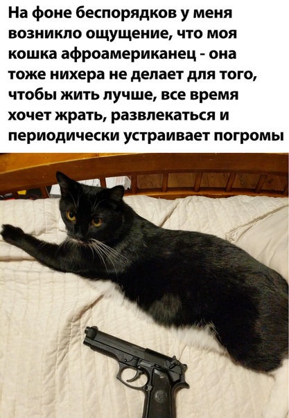 Немного картинок для настроения 99