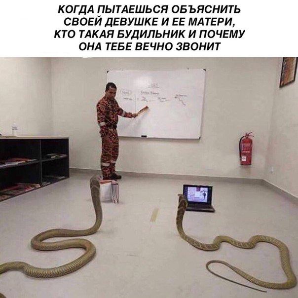 Так себе картинки 01.07.20