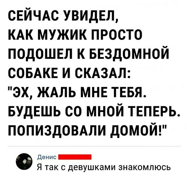 Юмор в картинках
